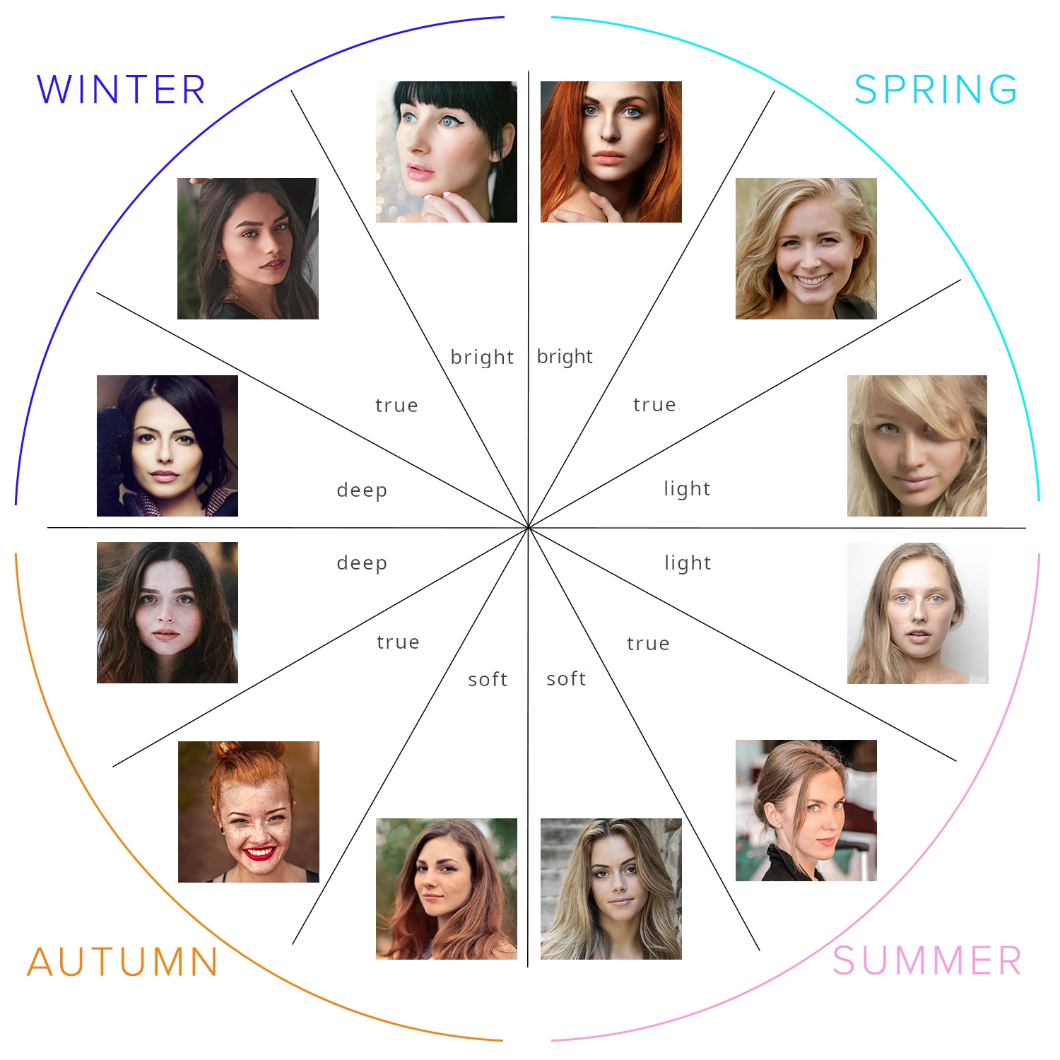 Four Seasons Comparison Chart